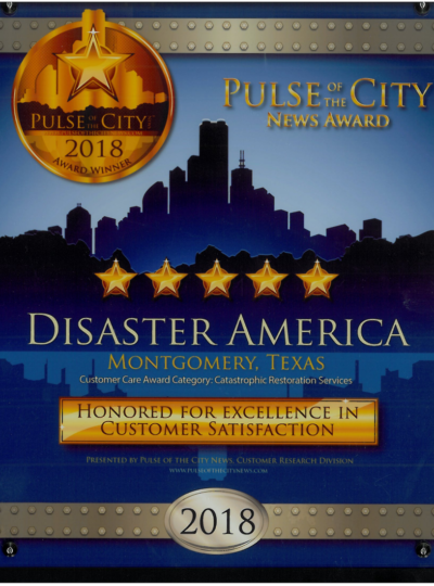 2018 pulse of the city award