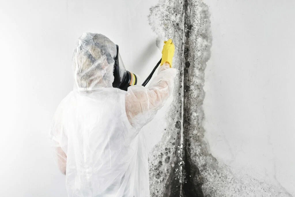 Mold Remediation Houston TX